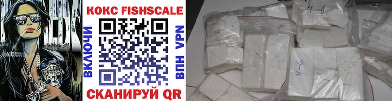 Cocaine Fish Scale  где купить наркоту  Мытищи 