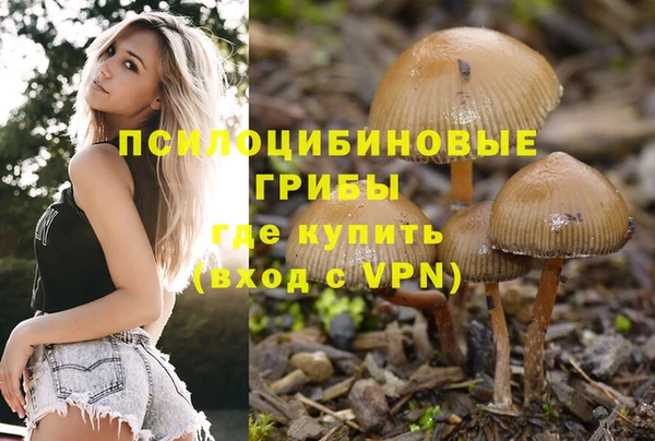 PSILOCYBIN Алексеевка