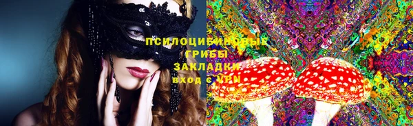 PSILOCYBIN Алексеевка