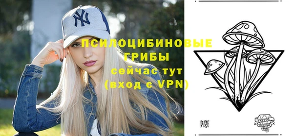 винт Алексин